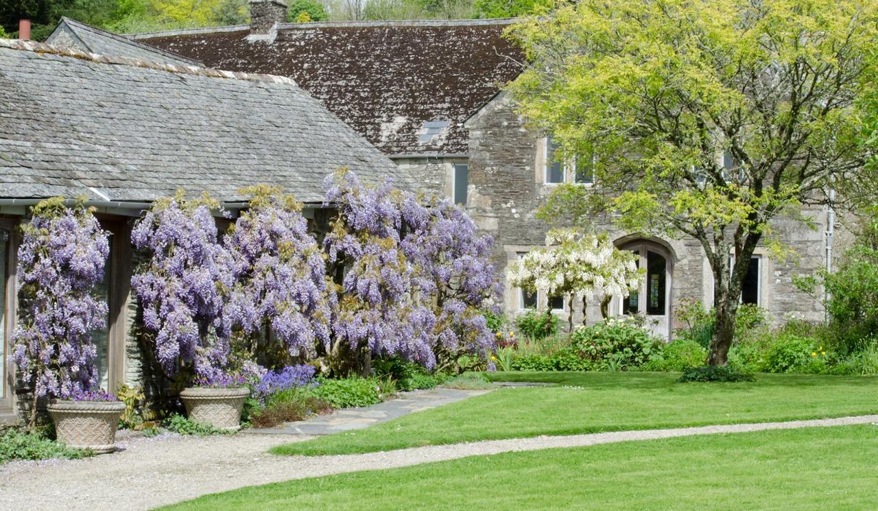 Cider House Hotel Yelverton Zewnętrze zdjęcie